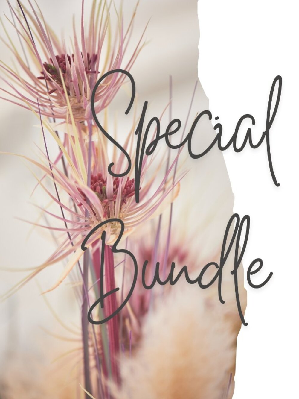 Bundle Offer for Erica from Simply Ashley